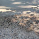 Driveway Repair and Resurfacing